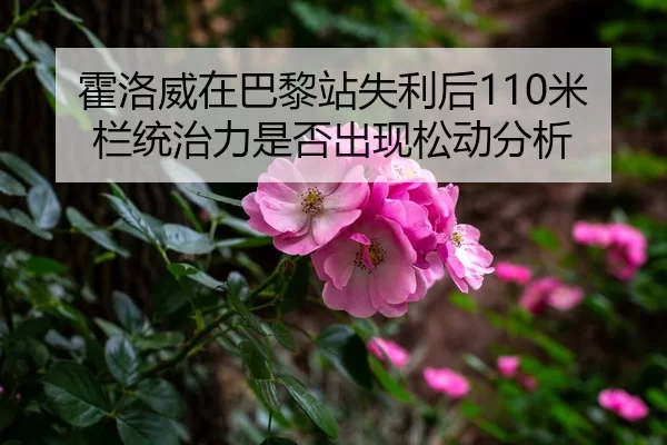 霍洛威在巴黎站失利后110米栏统治力是否出现松动分析