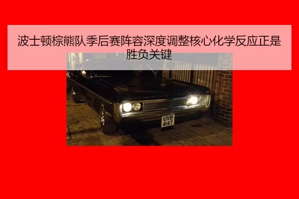 bo-shi-dun-zong-xiong-dui-ji-hou-sai-zhen-rong-shen-du-tiao-zheng-he-xin-hua-xue-fan-ying-zheng-shi-sheng-fu-guan-jian-2-179.jpg
