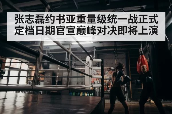 boxer training